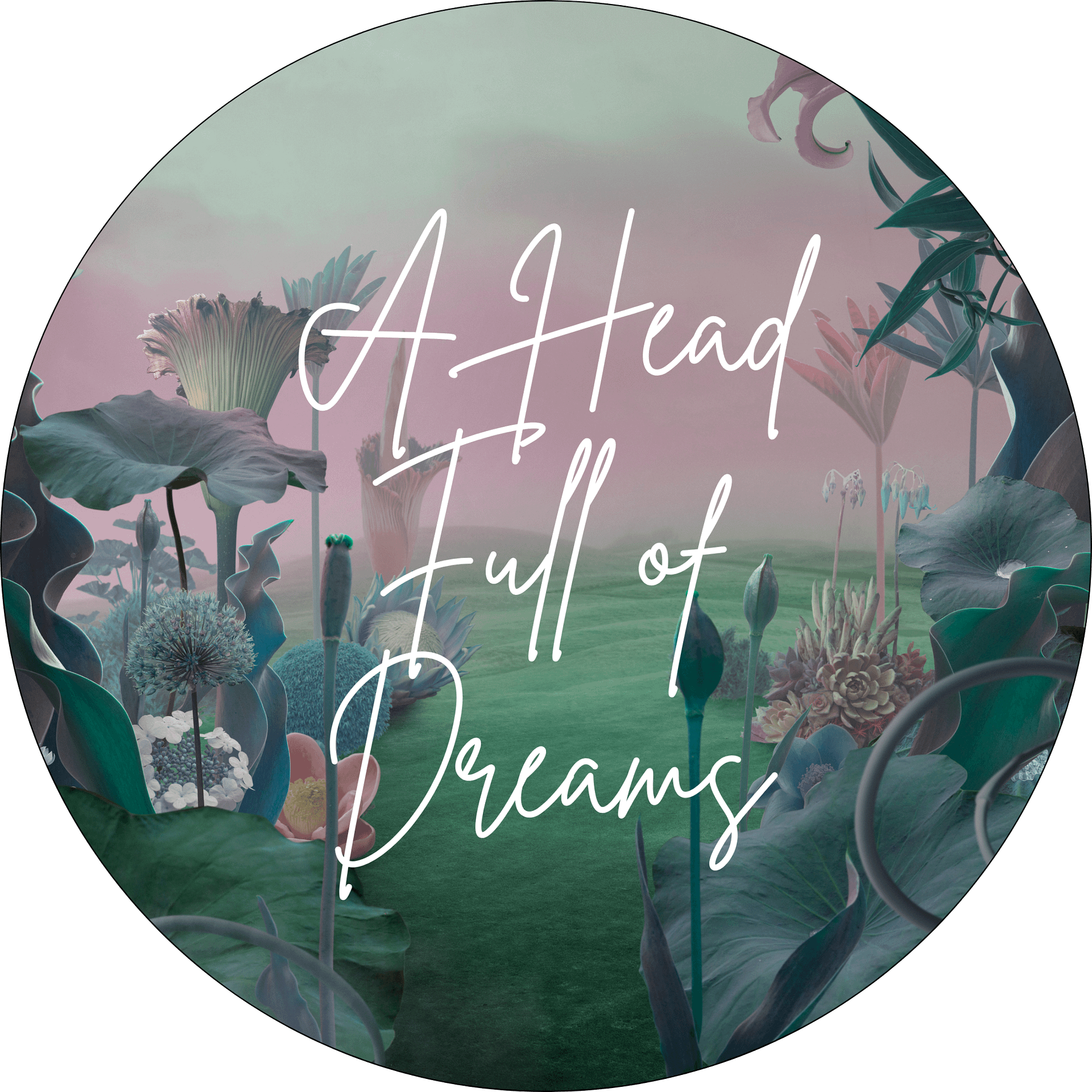 A Head Full of Dreams